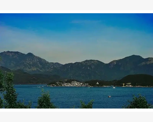 白色糠疹真的与脾胃有关吗？探秘背后的健康真相